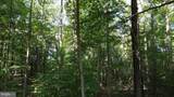 3 Acres Belsches Road - Photo 3