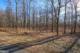 48 Fern Loop - Photo 16