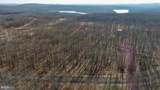48 Fern Loop - Photo 3