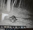 13235 Knotts - Photo 86