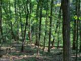 Lot 1 Carters Run - Photo 51
