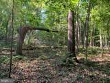 Lot 1 Carters Run - Photo 52