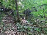Lot 1 Carters Run - Photo 53