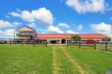 181 Equus Loop - Photo 17