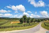 181 Equus Loop - Photo 39