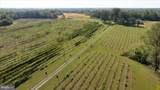 667 Hustle Road - Photo 119