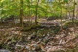 4800 Fiery Run Road - Photo 58