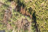 Lot 1 Yellowbottom Road - Photo 8