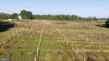 667 Hustle Road - Photo 104