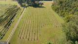 667 Hustle Road - Photo 120