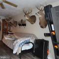 423 Main Street - Photo 55