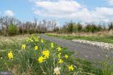 3 Tines Field Path - Photo 53