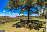 23212 Haines Point Road - Photo 4