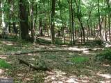 Lot 40 Wild Apple Lane - Photo 14