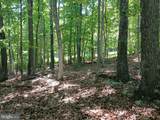 Lot 40 Wild Apple Lane - Photo 15