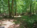 Lot 40 Wild Apple Lane - Photo 16