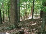 Lot 40 Wild Apple Lane - Photo 17
