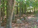 Lot 40 Wild Apple Lane - Photo 18