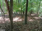 Lot 40 Wild Apple Lane - Photo 19