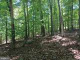 Lot 40 Wild Apple Lane - Photo 20