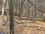 Lot 40 Wild Apple Lane - Photo 9