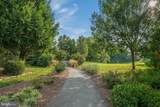 14117 Catbird Drive - Photo 46