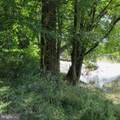 0-RTE 11 Point Twp Drive - Photo 9