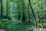174 Sumac Lane - Photo 80