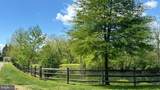  Calvert Street - Photo 15