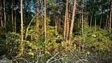  Leedstown Road - Photo 6