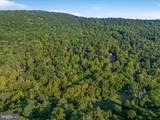 51A Gooney Manor Loop - Photo 11