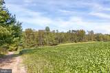 00-LOT 2 Klinger Hollow Road - Photo 6