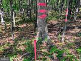 1849 Poplar Run Road - Photo 26