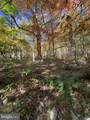 LOT 5A Fox Trail - Photo 1