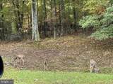 Lot #12 Bobs Lane - Photo 6