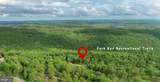 115 Campfire Drive - Photo 4