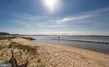 34901 Seagrass Plantation Lane - Photo 50