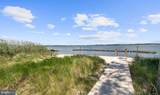 34901 Seagrass Plantation Lane - Photo 51