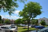 7507 Ashby Lane - Photo 25