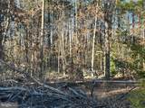 13009-13141 Lake Anna Village Drive - Photo 5