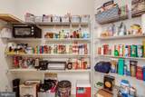 24660 Woolly Mammoth Terrace - Photo 6