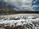  Lot 12 Blue Tower Acres - Photo 17