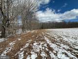  Lot 12 Blue Tower Acres - Photo 18