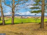 16650 Toms Creek Church Road - Photo 63