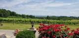 4204 Old Fincastle Rd - Photo 1
