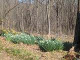 2005 Upper Stony Run - Photo 11