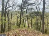 Lot 6 Polecat Hollow Road - Photo 12