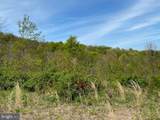 Lot 6 Polecat Hollow Road - Photo 14