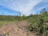 Lot 6 Polecat Hollow Road - Photo 21