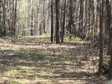 4064 Deep Creek Rd - Photo 31